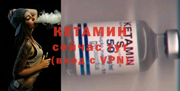 индика Каменногорск
