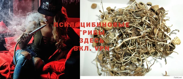 шишки Алексин
