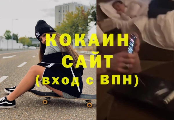 шишки Алексин