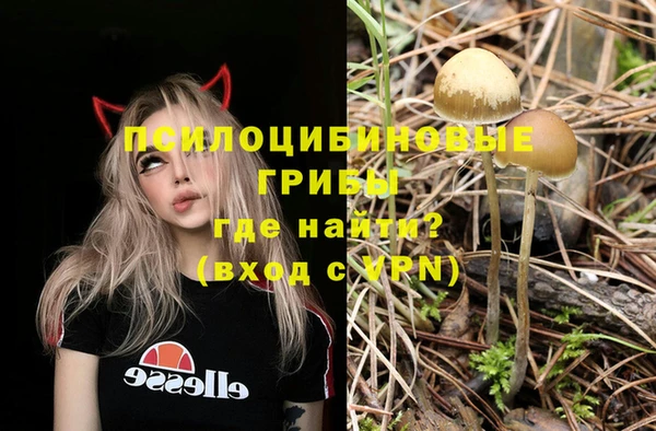 трава Алзамай