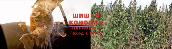 трава Алзамай